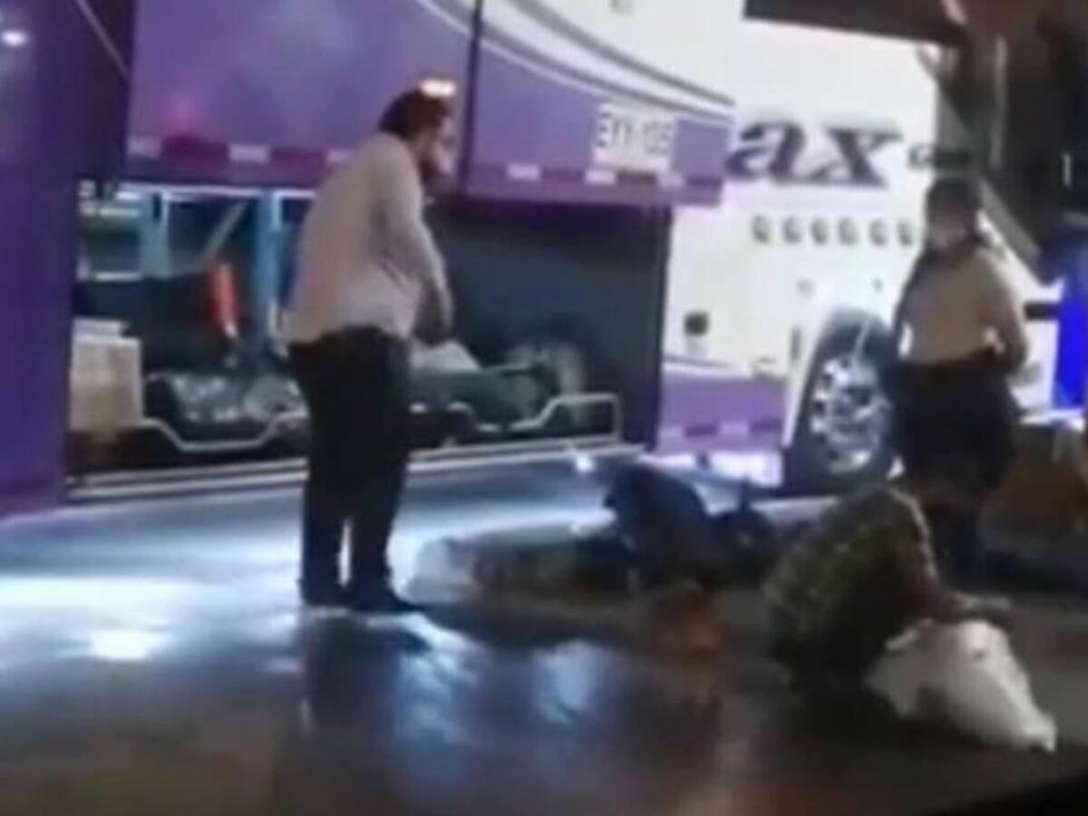 Indignación en Pereira por caso de maltrato animal en transporte público