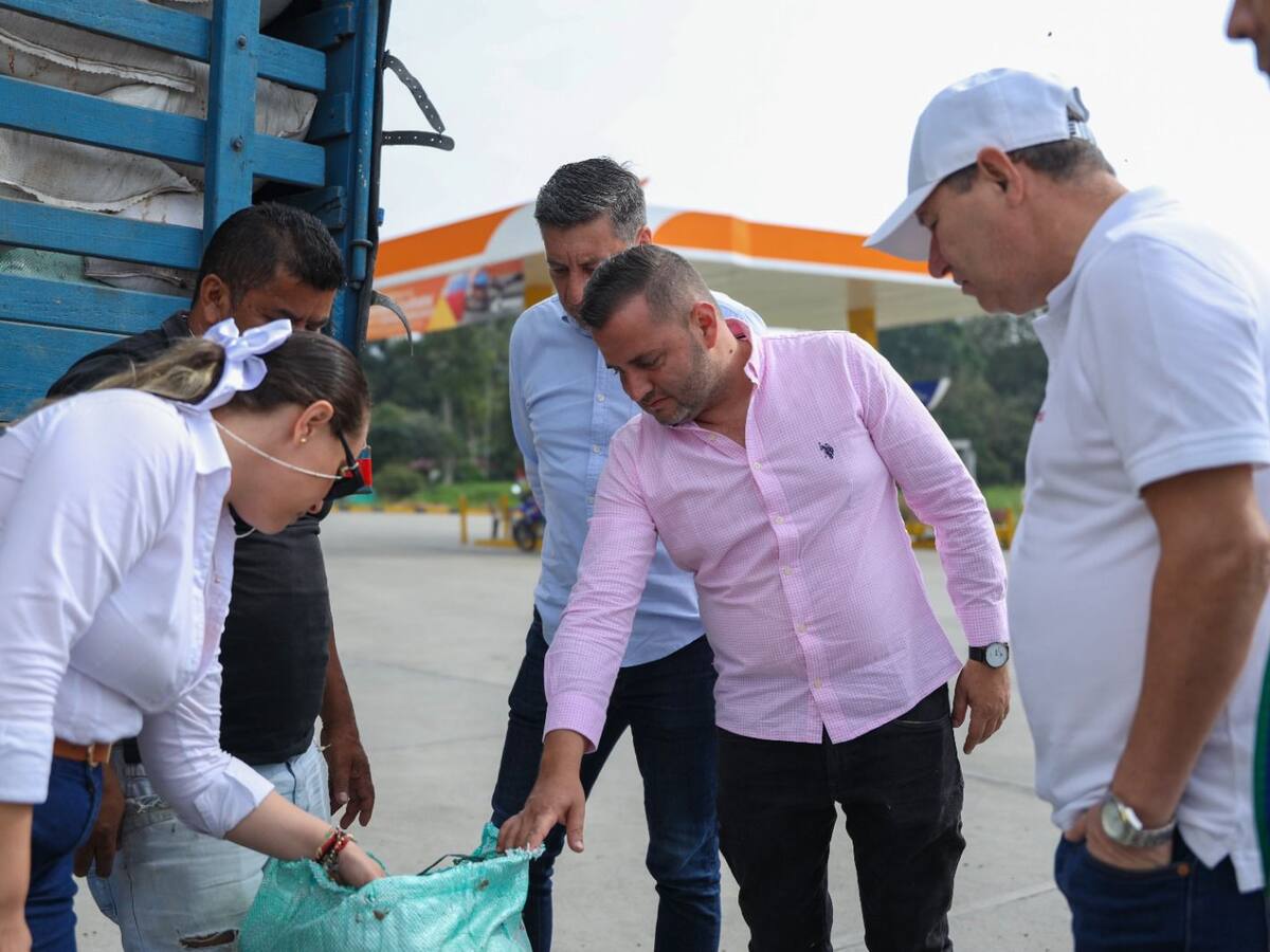 Iniciaron operativos para controlar la proliferación de moscas en la Mesa de los Santos