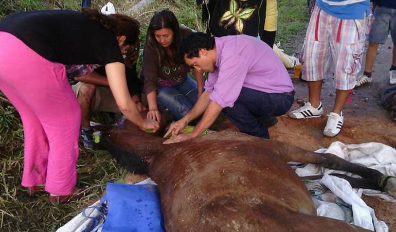 Las autoridades iniciaron las investigaciones para dar con el paradero de los responsables de este maltrato
