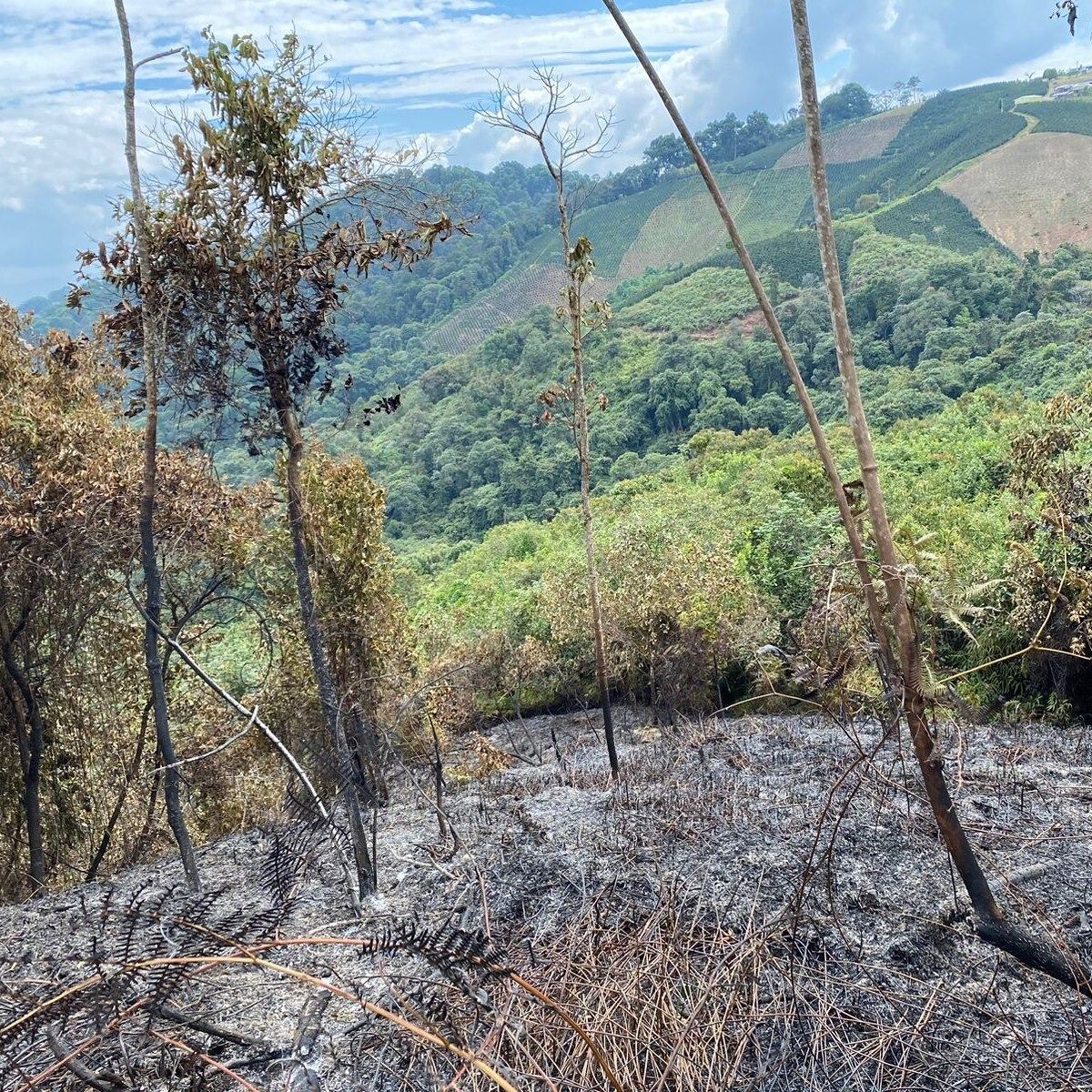 incendios forestales en Pitalito.