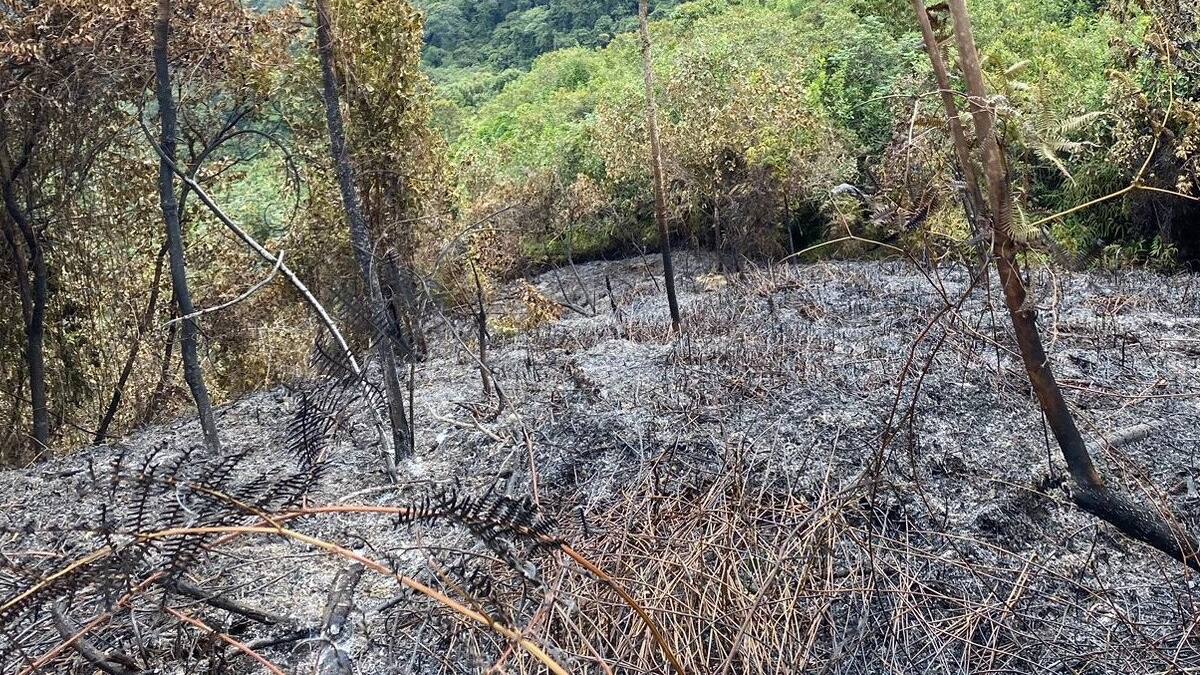 En Pitalito-Huila, la comunidad mantiene medidas para evitar incendios forestales