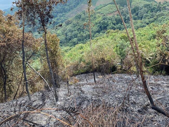 incendios forestales en Pitalito.