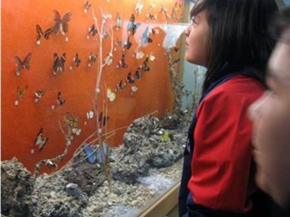 Museos de la U. Nacional: Una opción para estar cerca de la naturaleza en vacaciones