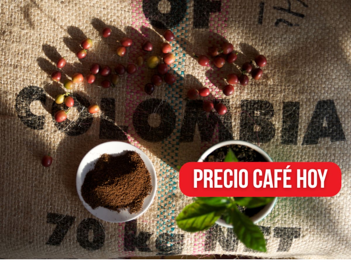 ¿Subió? Precio café HOY 30 de abril en Colombia: valor de carga, según Federación Nacional de Cafeteros