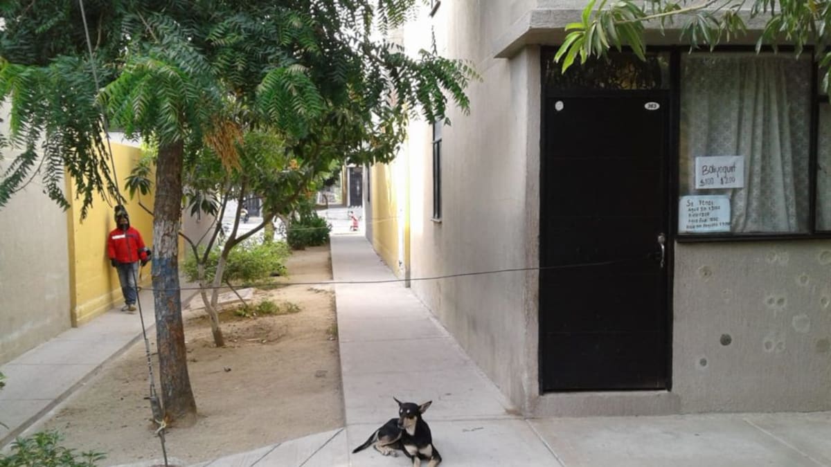 Comunidad convive 24 horas con un cadáver con COVID-19 en Santa Marta