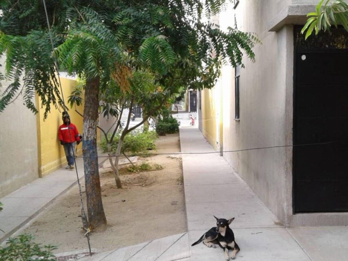 Alta Consejera de Paz y Posconflicto de Santa Marta denuncia extorsiones en Ciudad Equidad