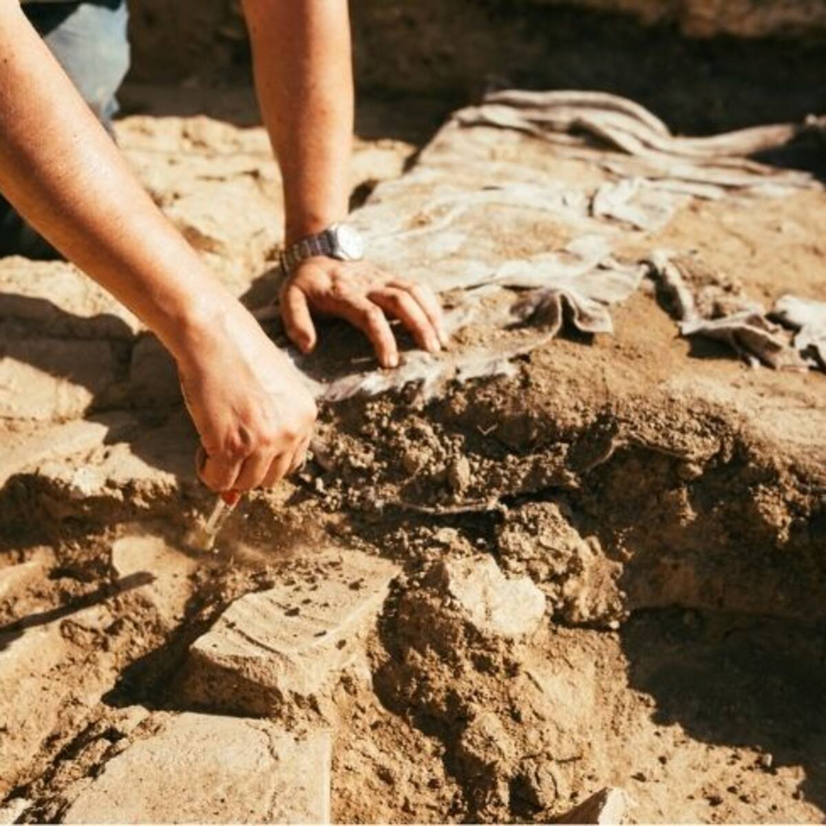 ¡Impactante! Hallazgo arqueológico deja en evidencia cuatro cuerpos de hace 3.000 años