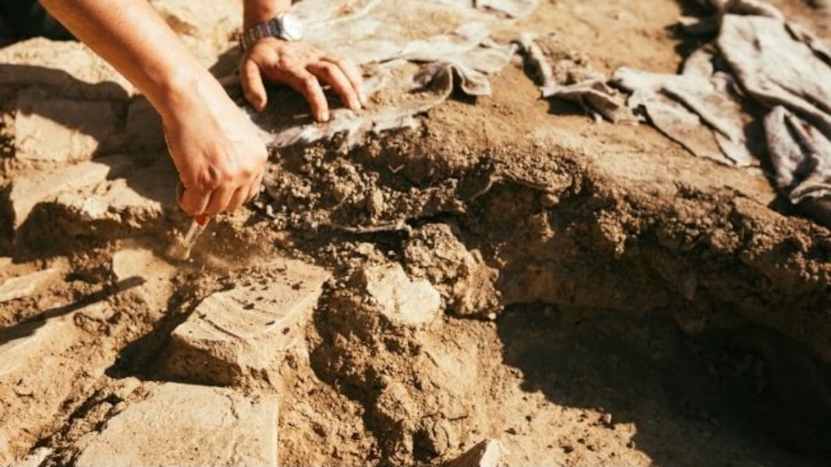 ¡Impactante! Hallazgo arqueológico deja en evidencia cuatro cuerpos de hace 3.000 años
