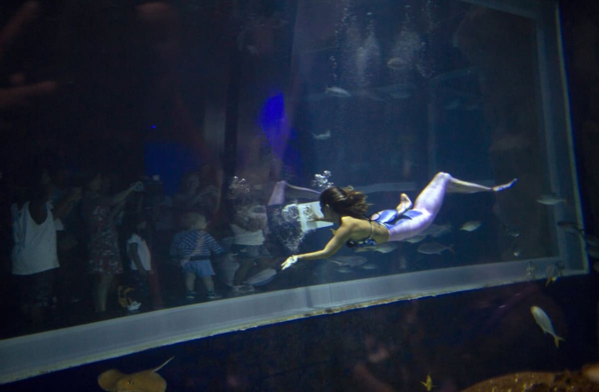 "La basura es el mayor de los problemas. Queremos mostrar que el problema existe y que tenemos que ayudar", dice Salomao.