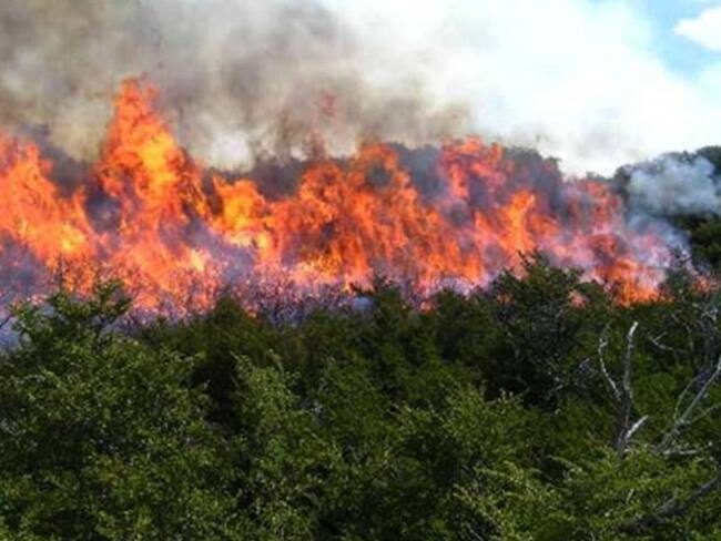 Alerta máxima en Santander por incendios forestales