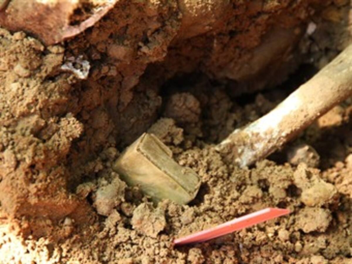 Cadáveres de dos presuntos jefes de las Bacrim, son hallados en fosa común