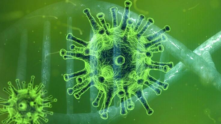 ¿El coronavirus infecta a las mascotas?