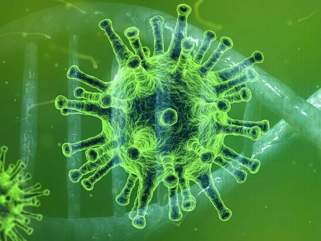 OMS actualizará lista de patógenos que podrían generar pandemias