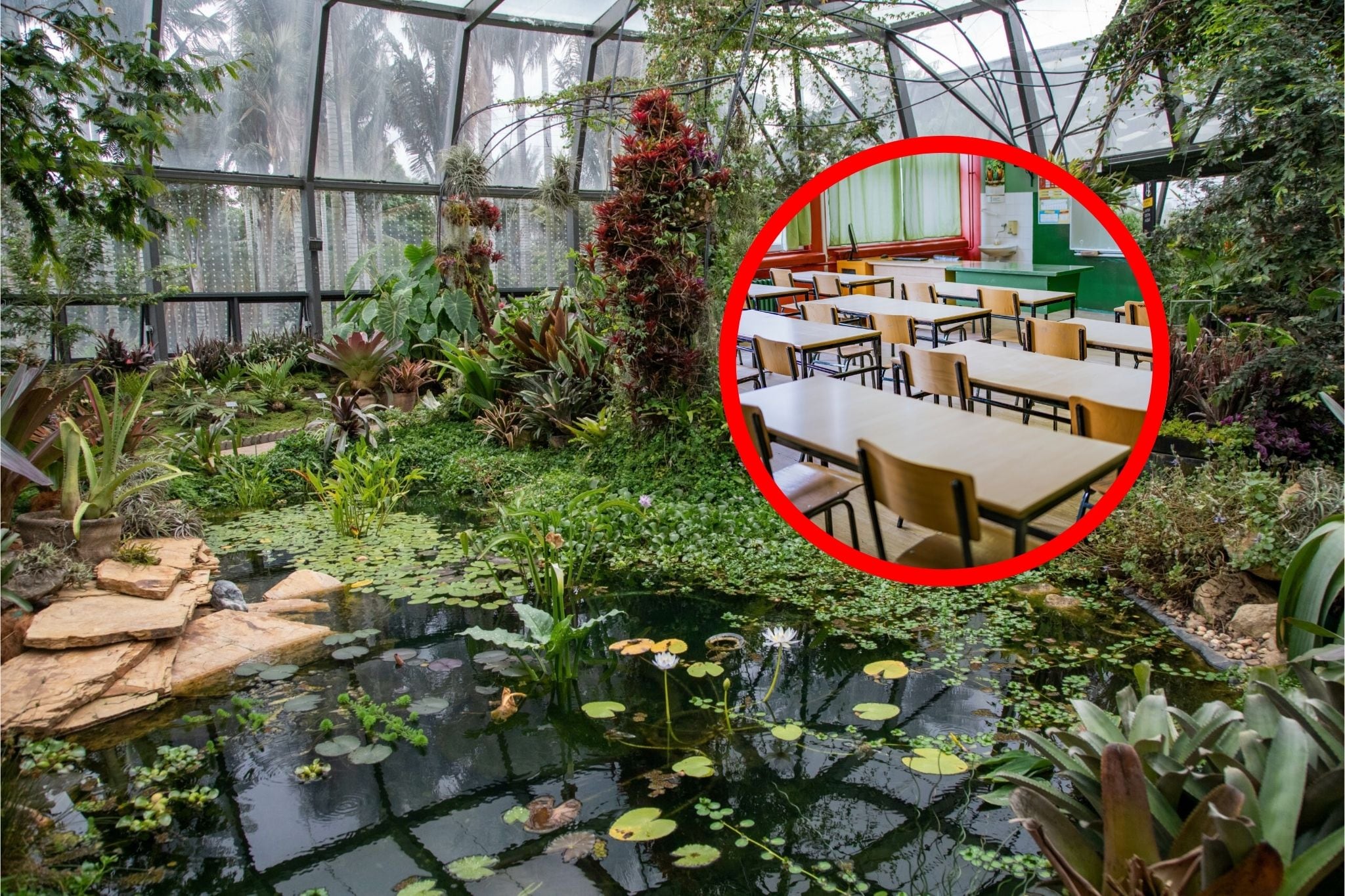 Jardín Botánico de Bogotá. Foto Getty Images y Jardín Botánico de Bogotá