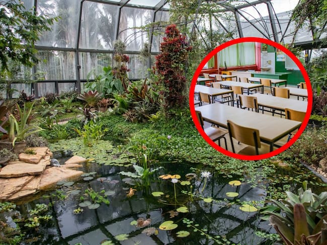 Jardín Botánico de Bogotá. Foto Getty Images y Jardín Botánico de Bogotá