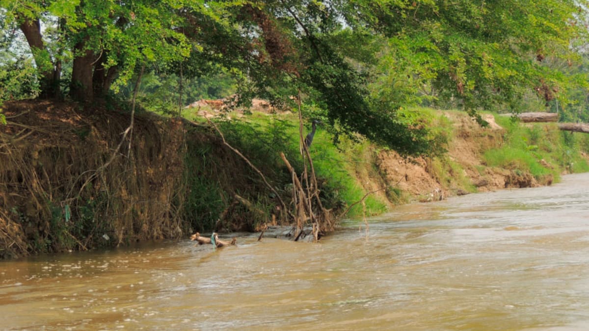 Continúa la búsqueda de joven desaparecido en el río Lebrija en Santander