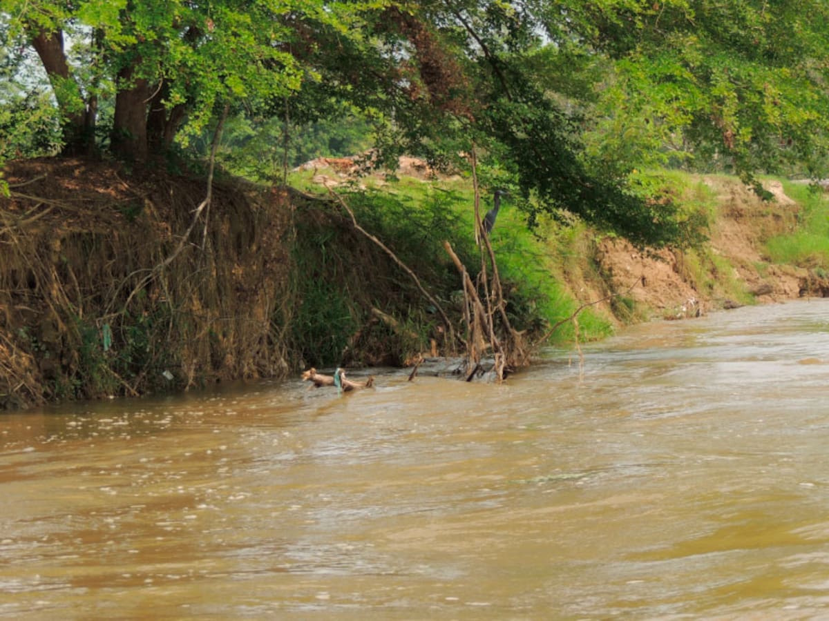 Continúa la búsqueda de joven desaparecido en el río Lebrija en Santander