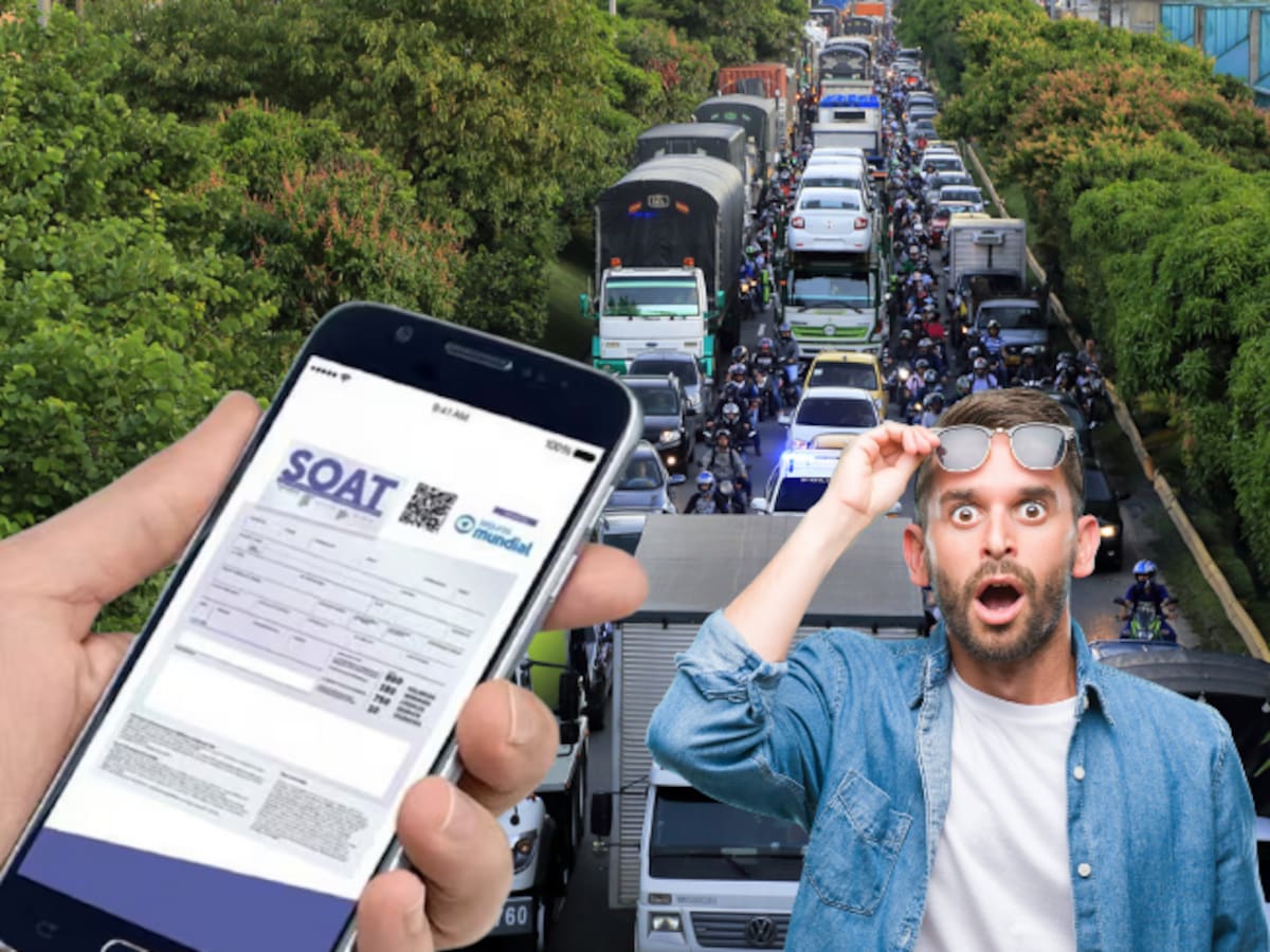 Cómo cotizar mi SOAT con la placa: 5 plataformas en línea simuladoras del precio para 2026