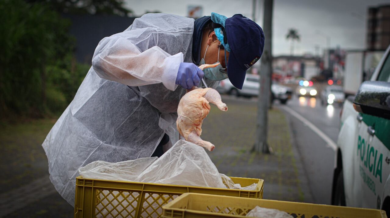Incautación de Pollo en malas condiciones en Dosquebradas (foto: Alcaldía de Dosquebradas)