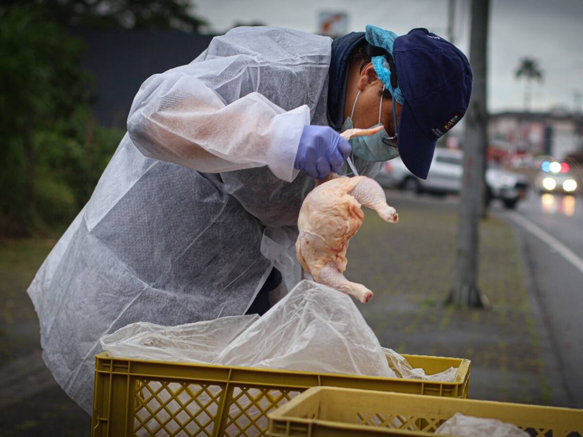 En Dosquebradas han incautado más de una tonelada de productos cárnicos en lo corrido del año