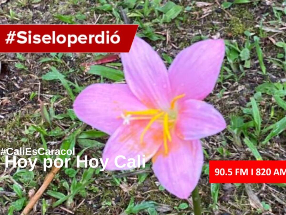 Cali Hoy por Hoy 07 de febrero del 2020