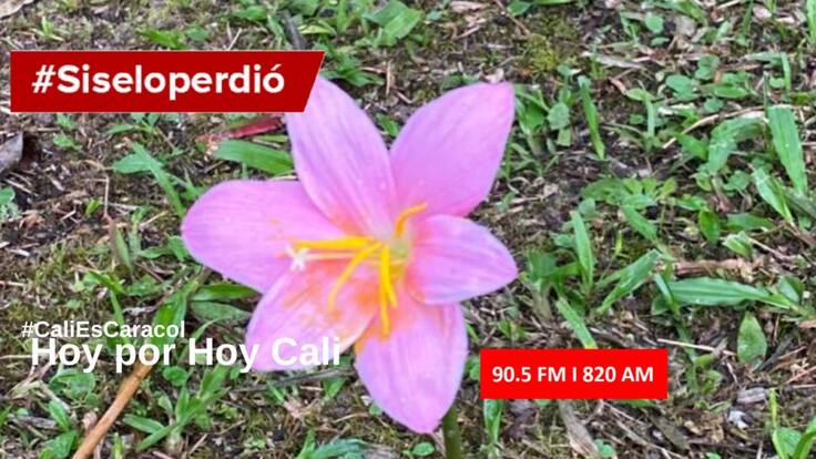 CALI HOY POR HOY 07 ENERO 2020.mp3
