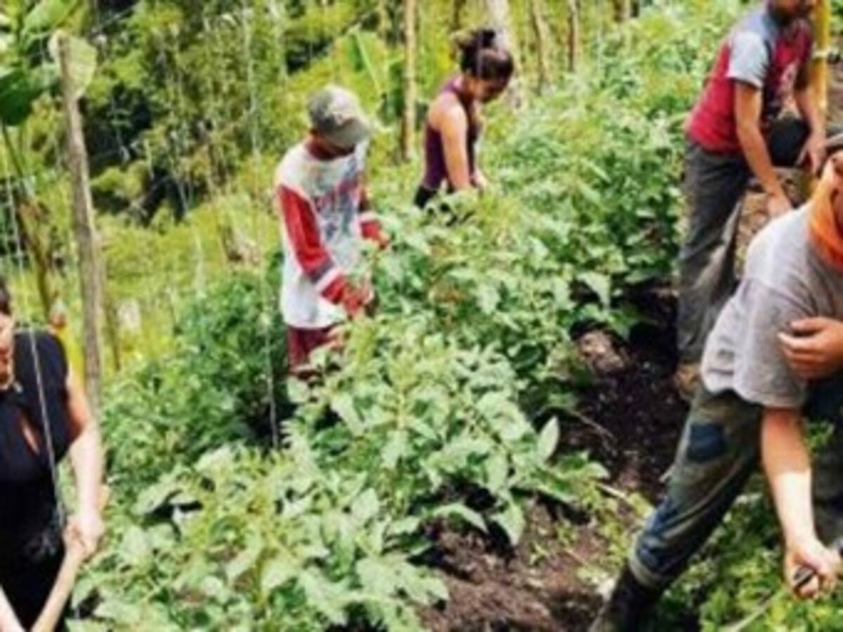Restitución de tierras en Colombia duraría 30.000 años: estudio