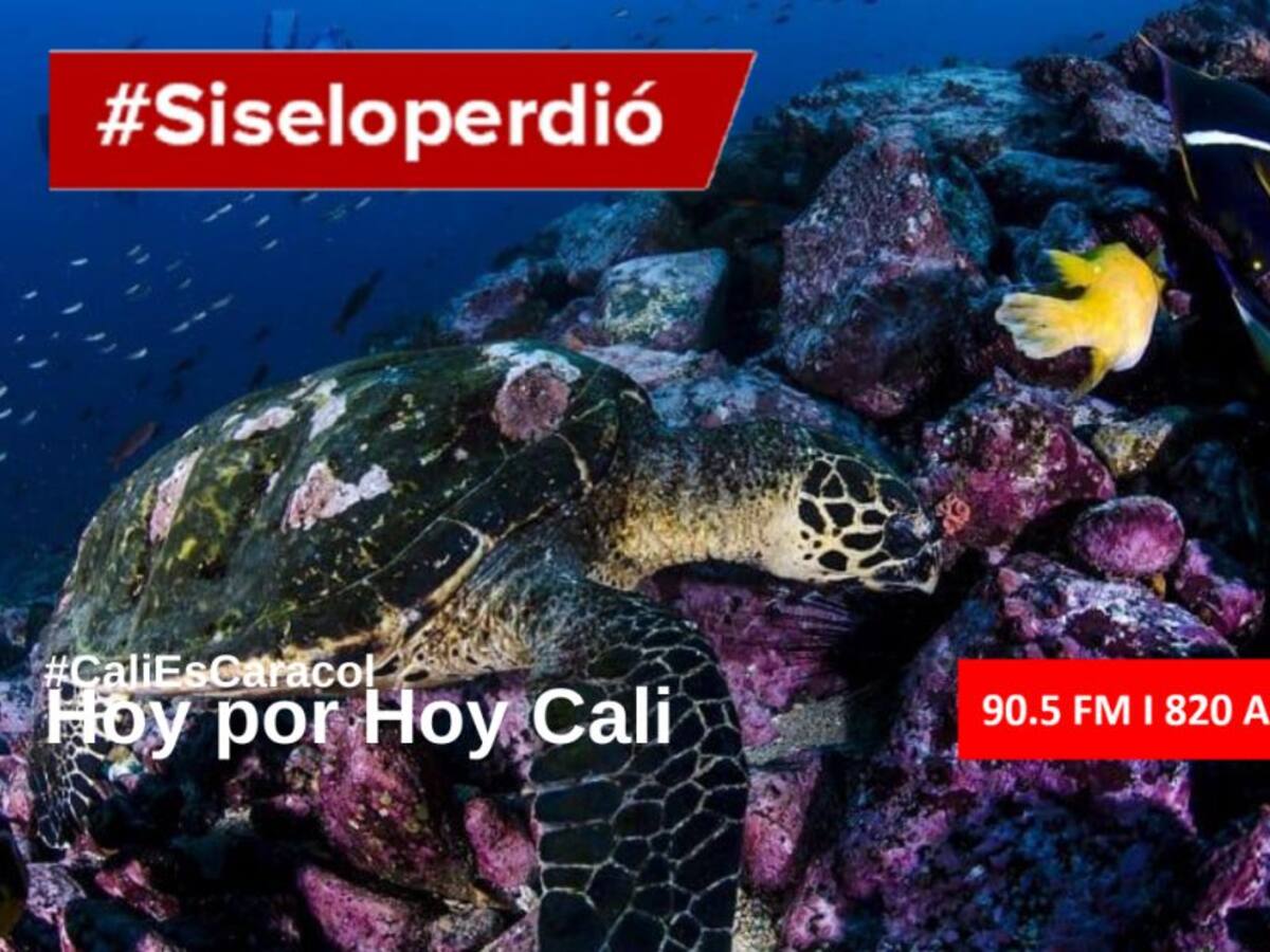 Cali Hoy por Hoy 08 de junio del 2020