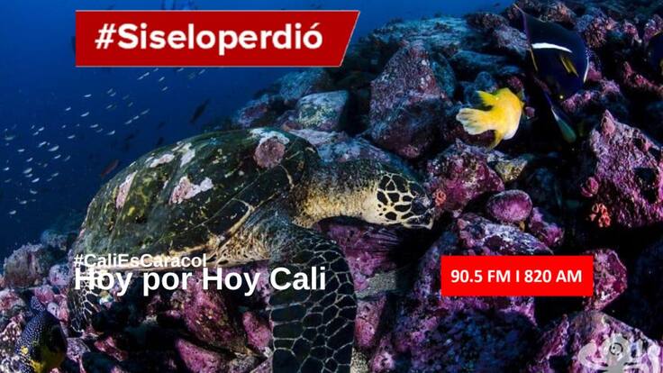 Cali Hoy por Hoy 08 de junio del 2020