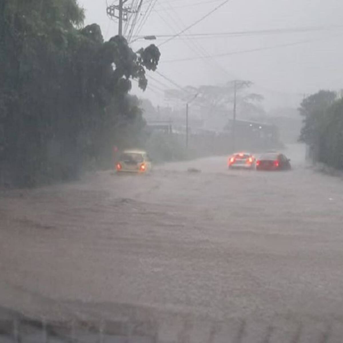 Procuraduría pide a Gobierno atender con urgencia emergencias por lluvias