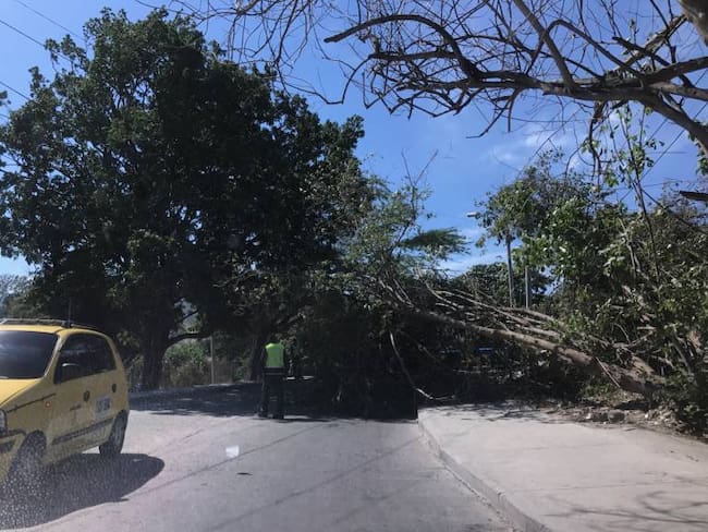 Fuertes brisas causan múltiples emergencias en Santa Marta