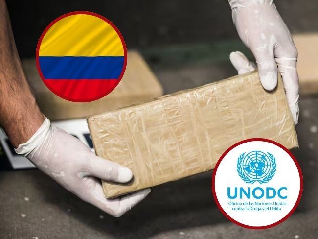 Colombia sigue siendo principal productor de cocaína del mundo: según informe de la ONU