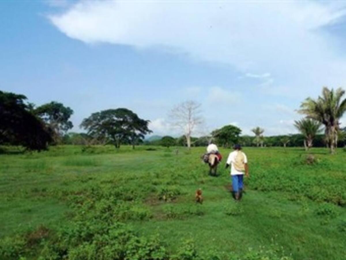 Desmantelar bandas criminales en Urabá pide Forjando Futuro
