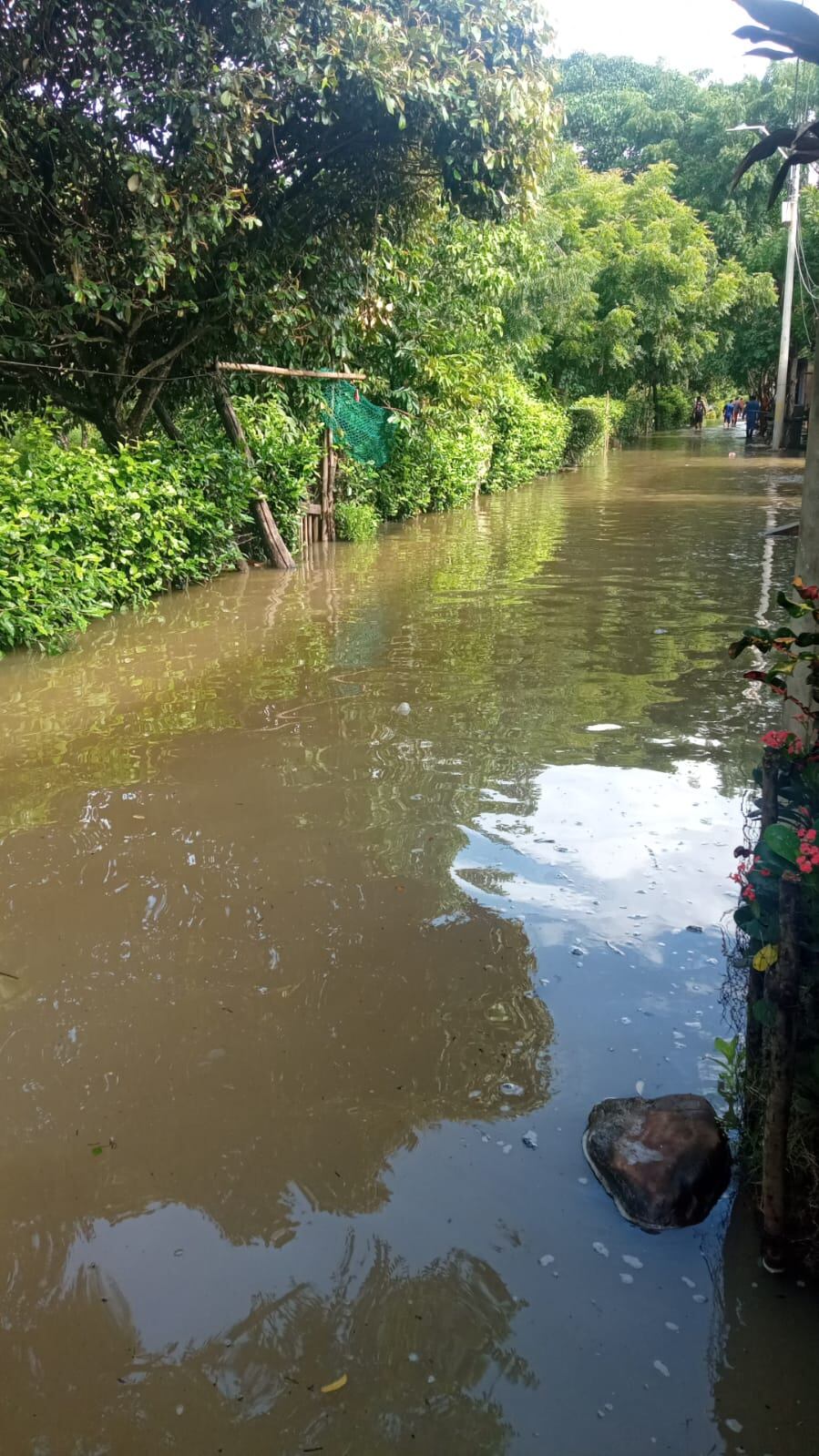 Inundaciones en el corregimiento de Juan Mina por desbordamientos de arroyos./ Cortesía