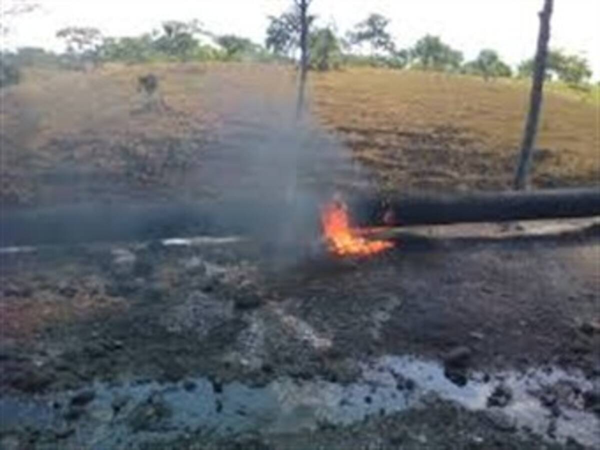 Despiden 500 trabajadores petroleros ante atentados a Caño Limón - Coveñas