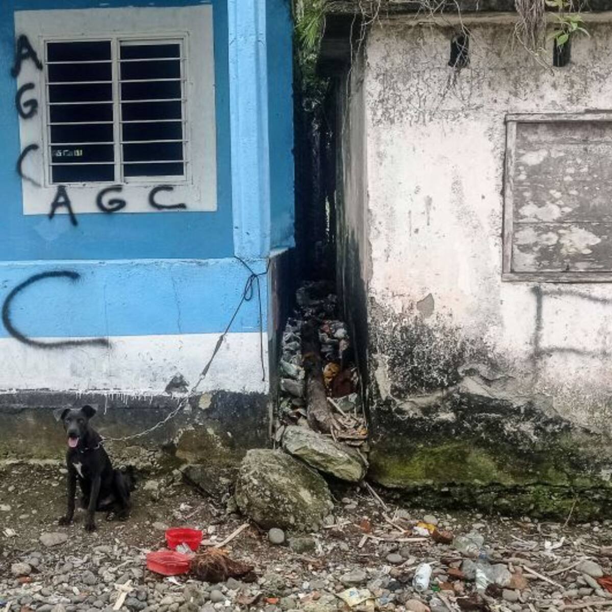 Defensoría del Pueblo advierte por la presencia del Clan del Golfo en Rionegro, Santander