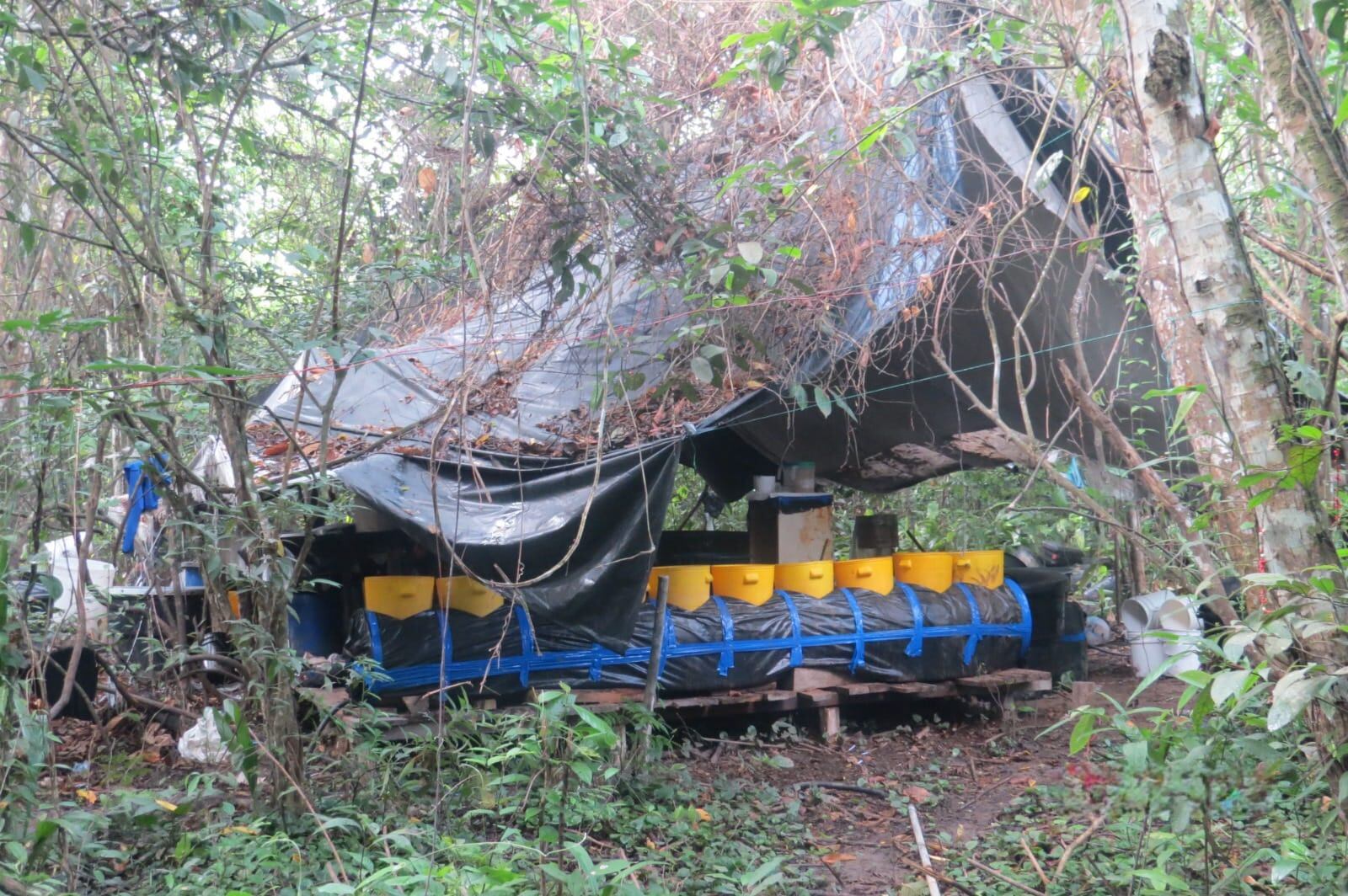 Desmantelan laboratorio de cocaína en zona rural de Puerto Santander / Foto Ejercol