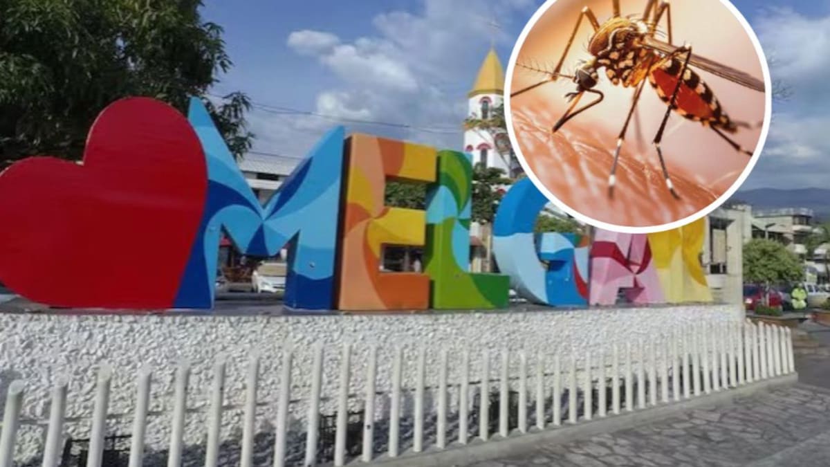 Turistas de Soacha se contagiaron de fiebre amarilla en Melgar: uno falleció