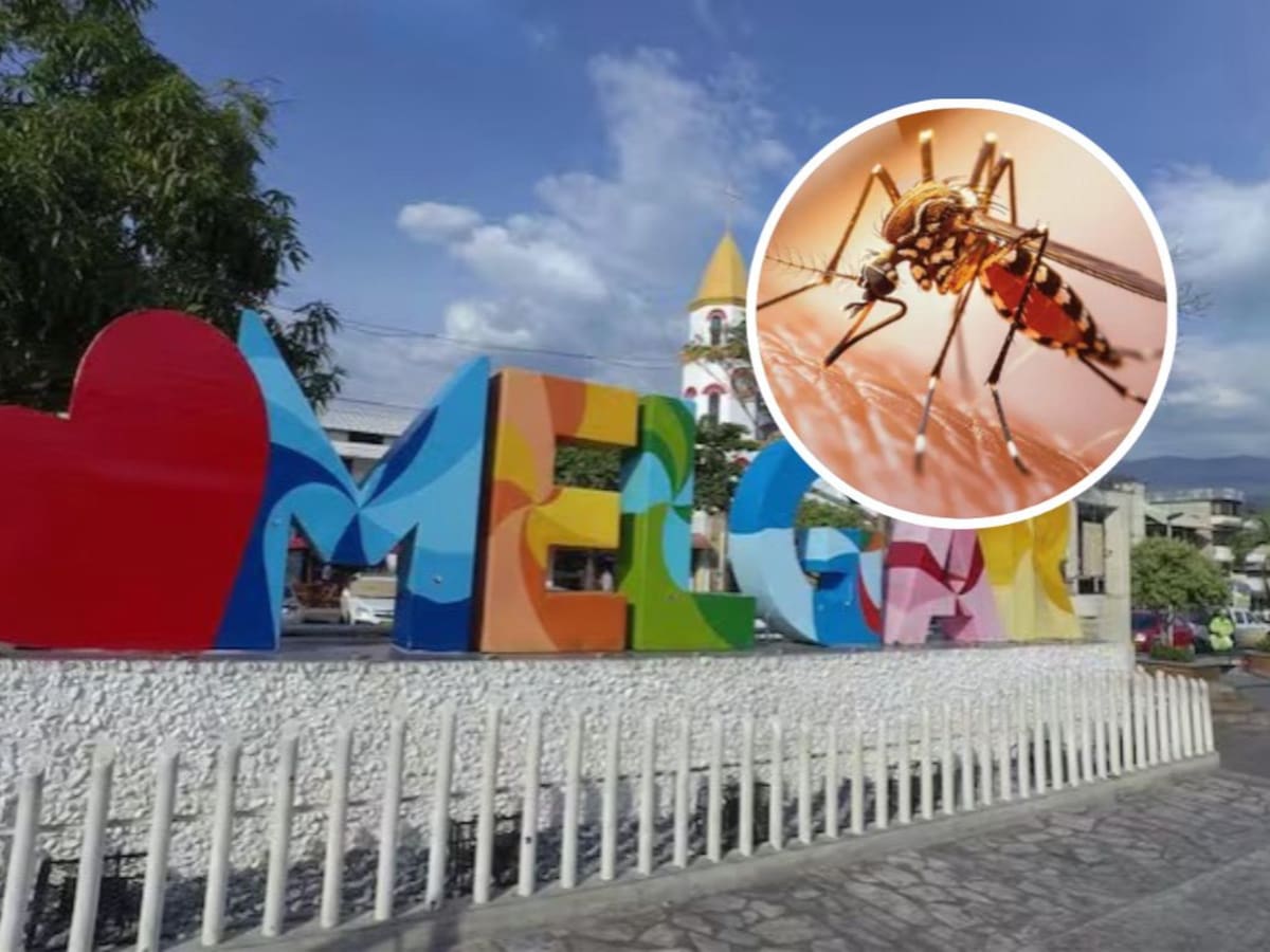 Turistas de Soacha se contagiaron de fiebre amarilla en Melgar: uno falleció