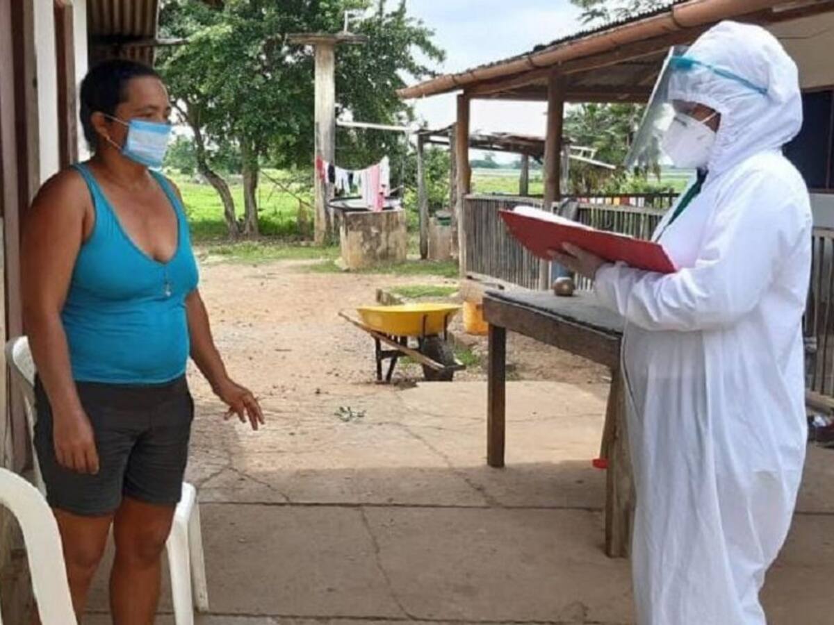 Confirman primer caso de rabia bovina en Magangué