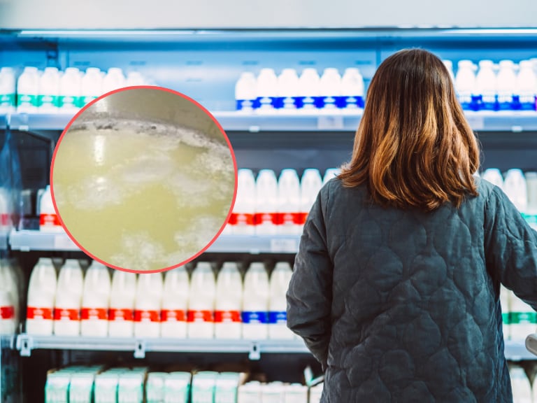 8 marcas de leche multadas por tener lactosuero, 3 de ellas son muy consumidas: multa de 15.000 SMLV