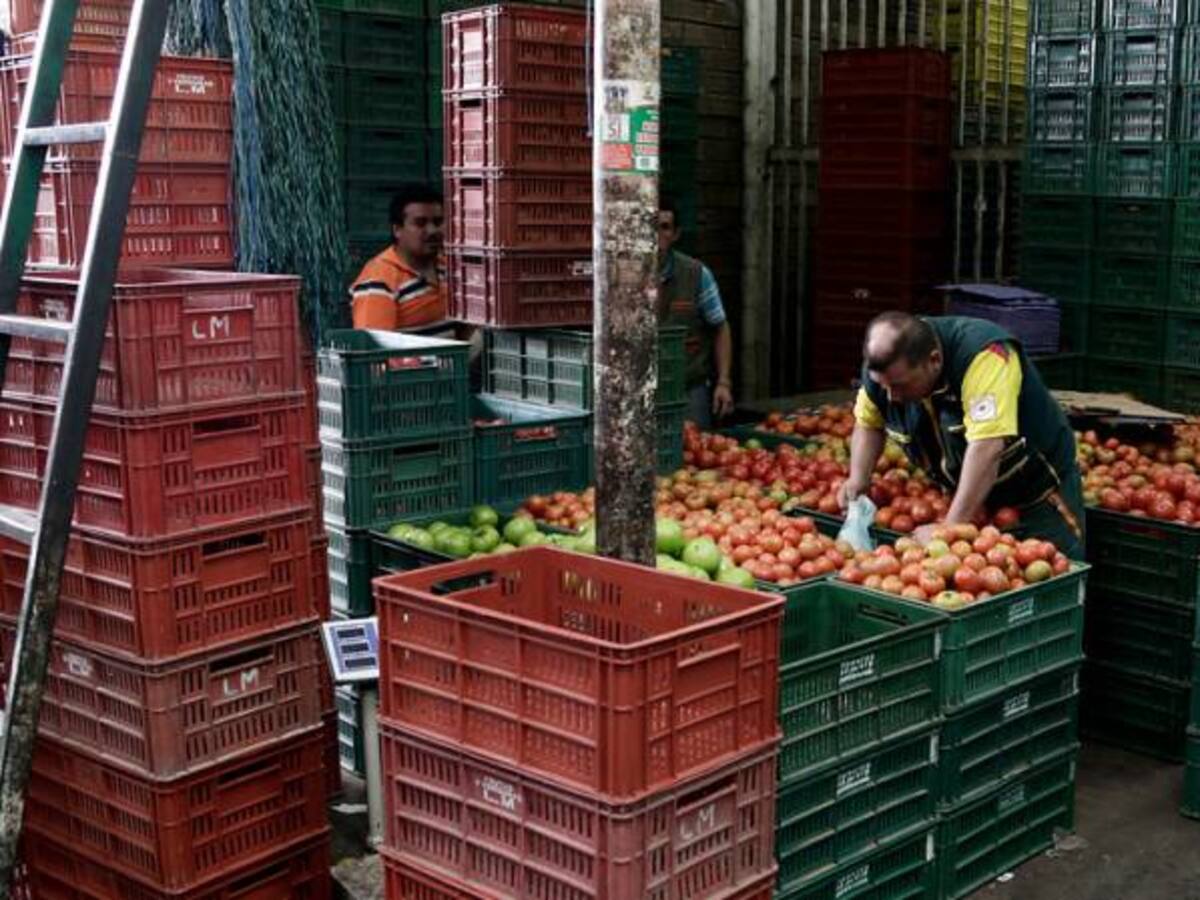 En aproximadamente un 39% se redujo el ingreso de alimentos en Corabastos
