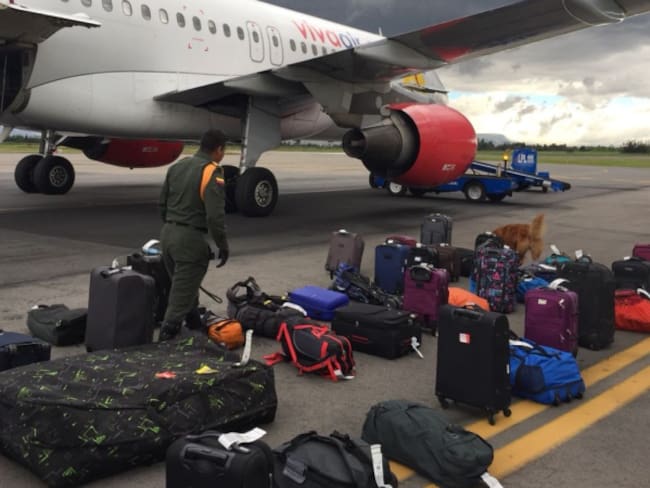 Detenido pasajero de aerolínea por falsa amenaza de bomba en un avión
