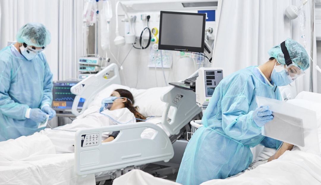 Imagen de referencia