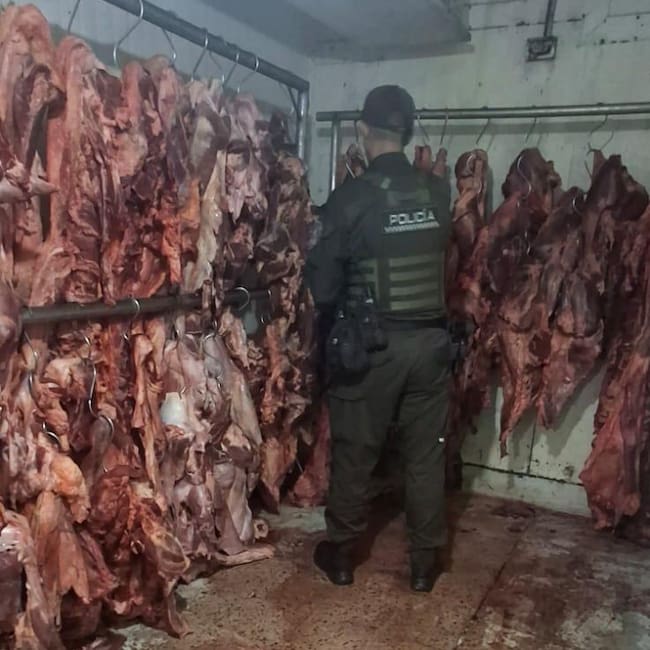 Carne decomisada