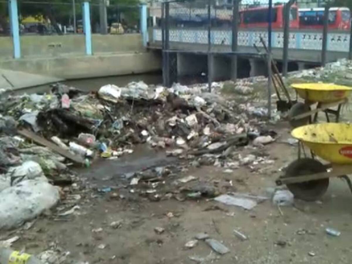 Vendedores temen que muertede perros incida en sus clientes