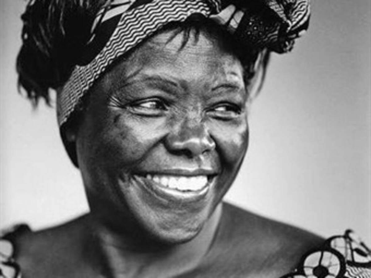 El planeta llora la muerte de Wangari Maathai, 'un icono medioambiental'