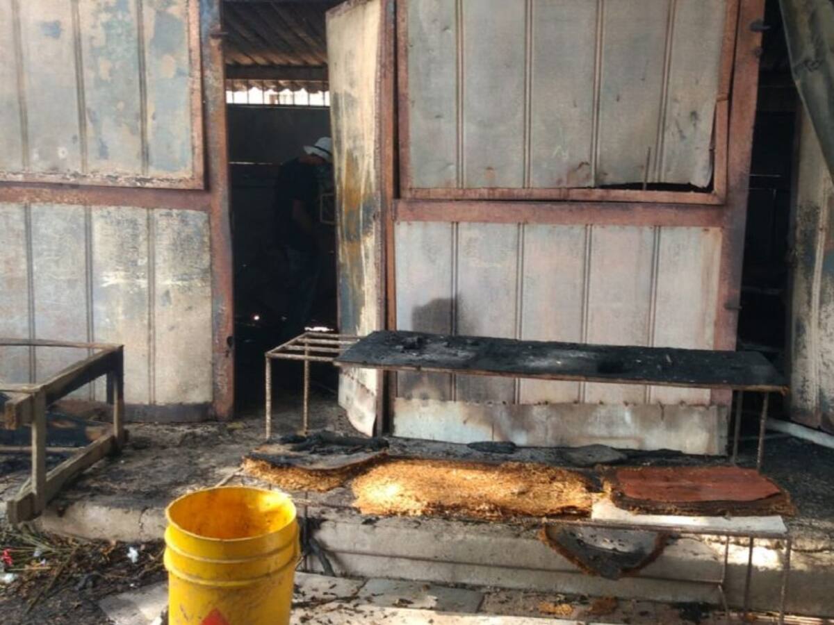 Denuncian manos criminales en incendio de locales de venta de flores