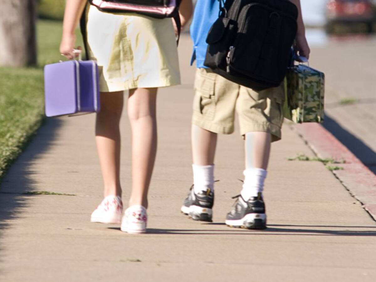 Transporte escolar rural, a sanción presidencial
