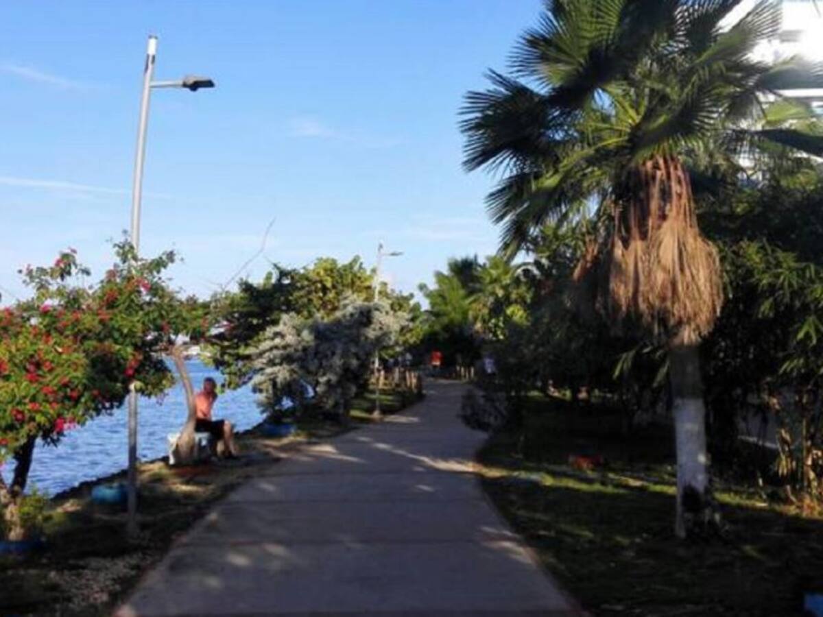 Proyecto busca declarar paseos peatonales de la bahía como zonas deportivas